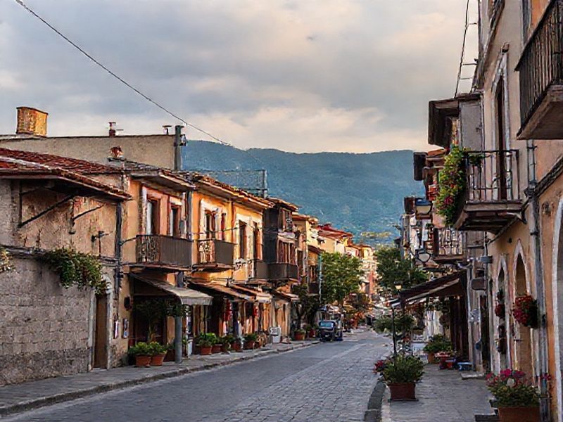 Serene street in a Tiflis neighborhood
